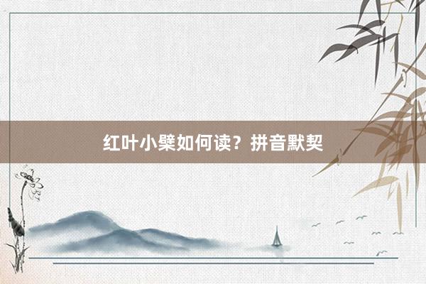 红叶小檗如何读?拼音默契