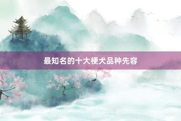 最知名的十大梗犬品种先容