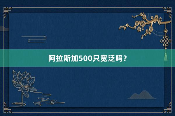 阿拉斯加500只宽泛吗？