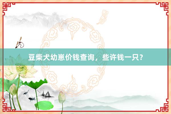 豆柴犬幼崽价钱查询,些许钱一只?